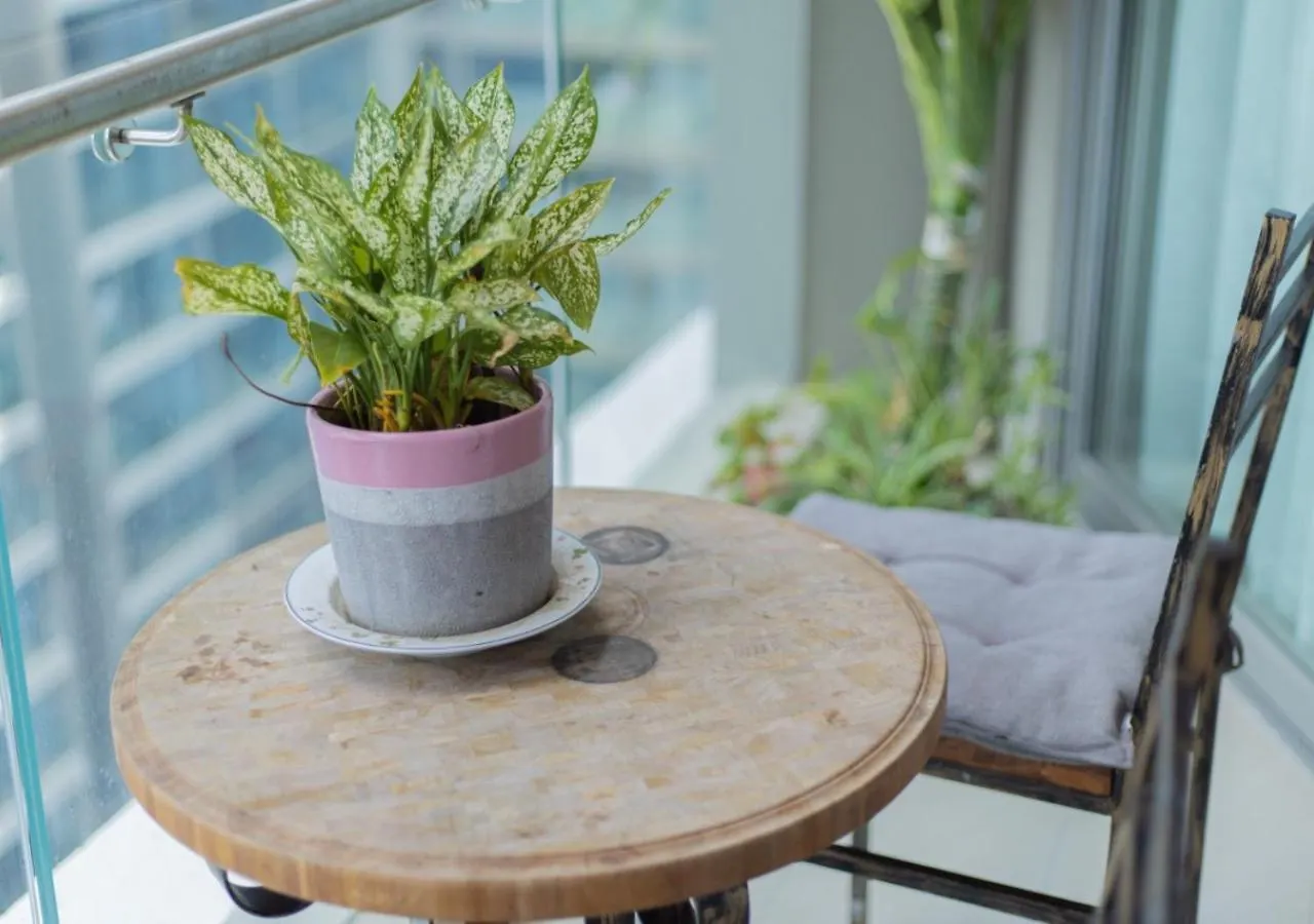 The Song Apartment Tabo Home Stay- Can Ho The Song Tabo Homestay Vung Tau